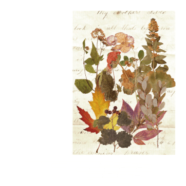 Herbarium Botanical Sticker Pack - alternate view