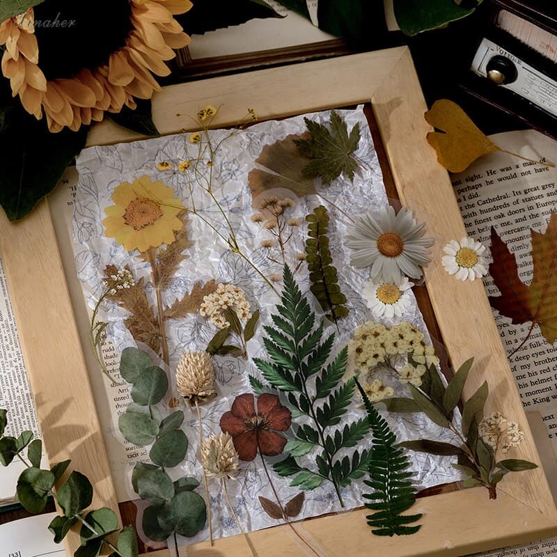 Herbarium Botanical Sticker Pack